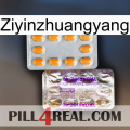 Ziyinzhuangyang new12